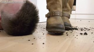 lady gentle on the 4