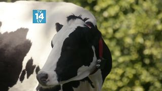 femdom in mainstream series 1