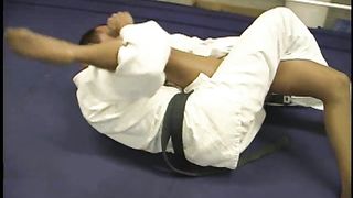 mixed judo 2
