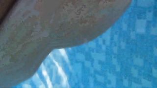 2 Huehner im Pool auf Mallorca