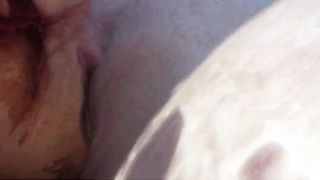 2 Huehner im Pool auf Mallorca