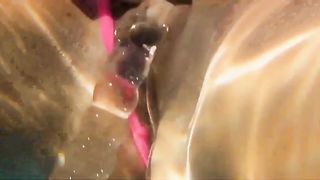 2 Huehner im Pool auf Mallorca