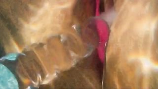 2 Huehner im Pool auf Mallorca