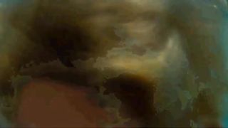 2 Huehner im Pool auf Mallorca