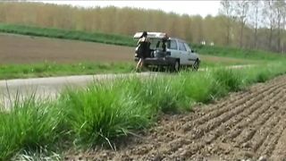 Virginie French The Breakdown