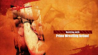 Mixed Wrestling 10 3