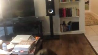 She got on her knees and starts sucking