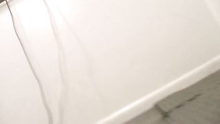 Dixie. Strongest legs