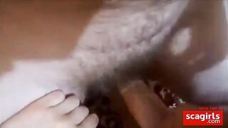 I share my girlfriend