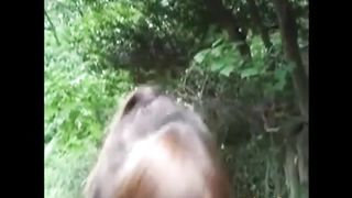 Asian couple fuck outside