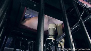TheEnglishMansion - Dungeon - Robotic Erotic Overload