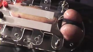 TheEnglishMansion - Dungeon - The Electric Cock Board