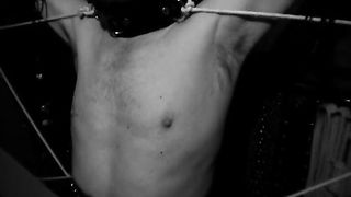 TheEnglishMansion - Dungeon - The Spider's Web