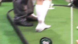 FootFactory - avn-2008