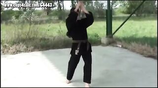 mistress mira fighting