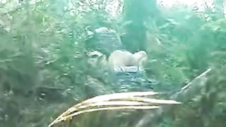 Chinese Outdoor Sex 1