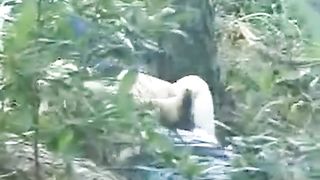 Chinese Outdoor Sex 1