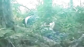 Chinese Outdoor Sex 1