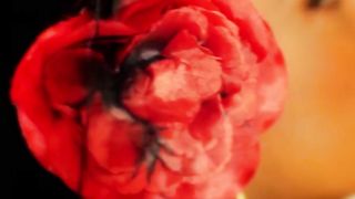 Lily and Max-French Amateurs-Sensitive Blowjob