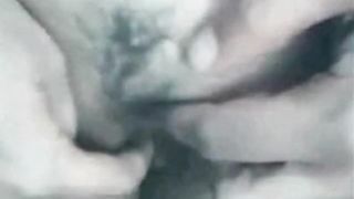 Webcam Professora Daniela Servo Ignacio de Limeira