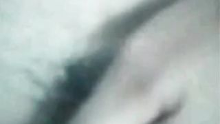 Webcam Professora Daniela Servo Ignacio de Limeira