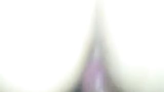 Vreloguza vranjanka SERBIAN 2