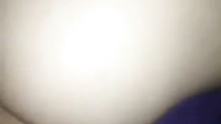 Vreloguza vranjanka SERBIAN 2