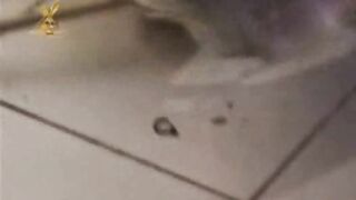 Young and cruel 01-06