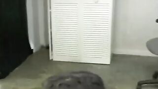 mistress humiliation to office slave