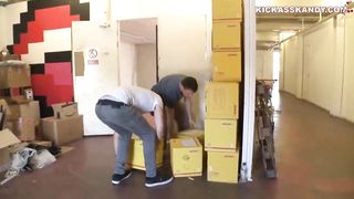 mixed fight dakota 3